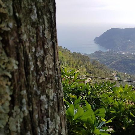Santuario Ns Soviore Cinque Terre Монтероссо-аль-Маре Екстер'єр фото