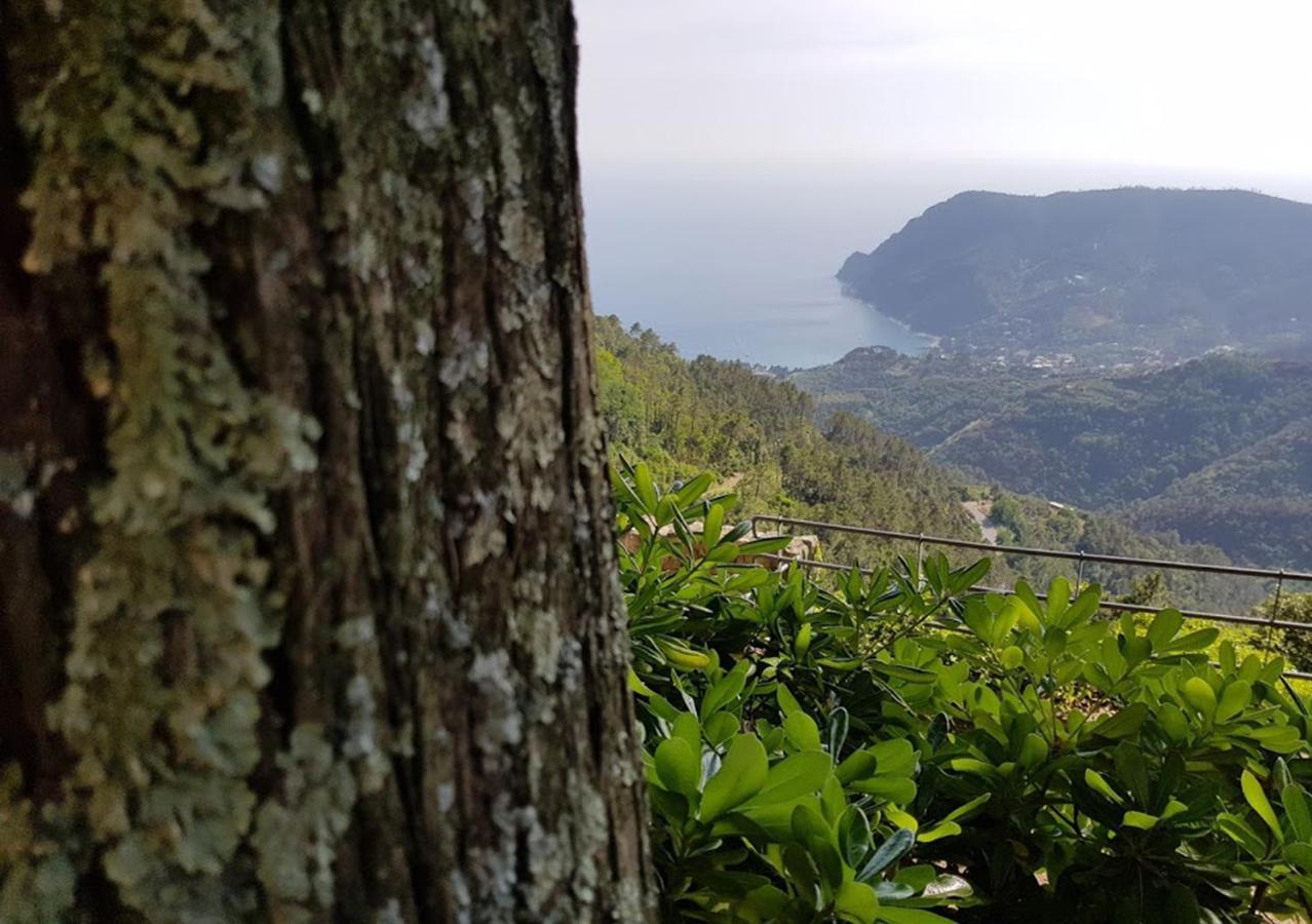Santuario Ns Soviore Cinque Terre Монтероссо-аль-Маре Екстер'єр фото